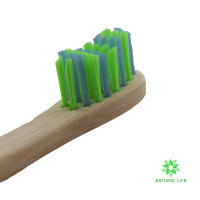 Kids Bamboo Toothbrush - Soft - Blue/Green